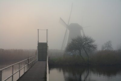 Kinderdijk mist