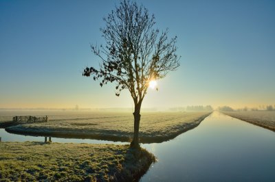 Polder