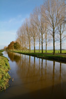 Polder 