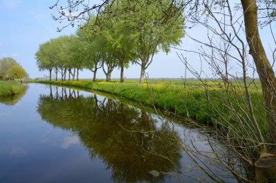 Polderlandschap