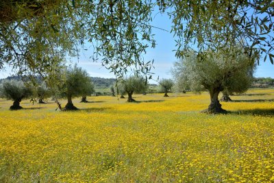 Spain: Andalusia and Extremadura