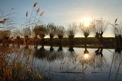 Polderlandschap