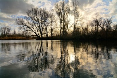 De Biesbosch