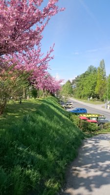 sunny day