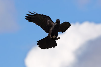 g9/57/1099757/3/156782507.r4LoI6Bt.jpg