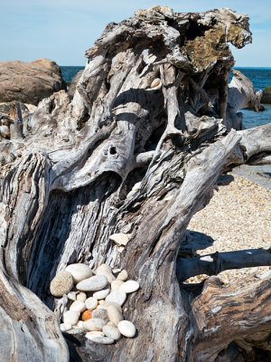 Rocky Point Beach