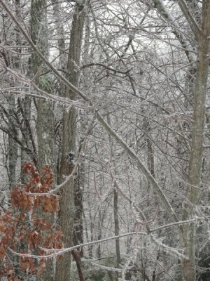 IMG_1566.jpg