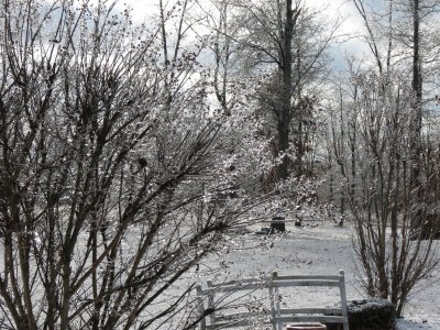 IMG_1582.jpg