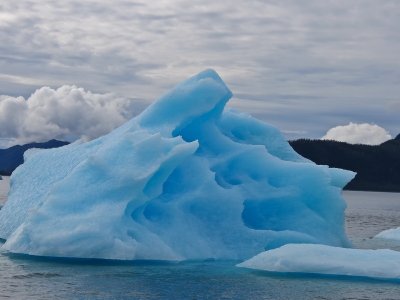 Who knew some icebergs are blue? 221.jpg