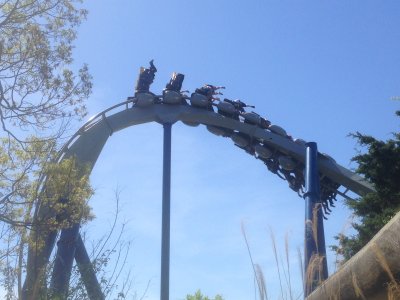 IMG_2669.JPG