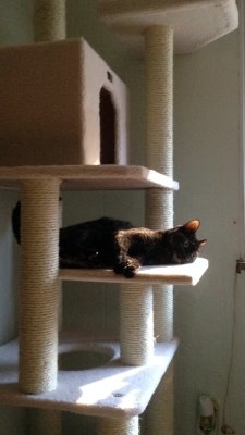 IMG_3806.JPG