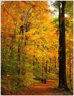 Hilton Falls Colour.jpg