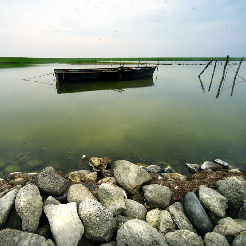 The little boat