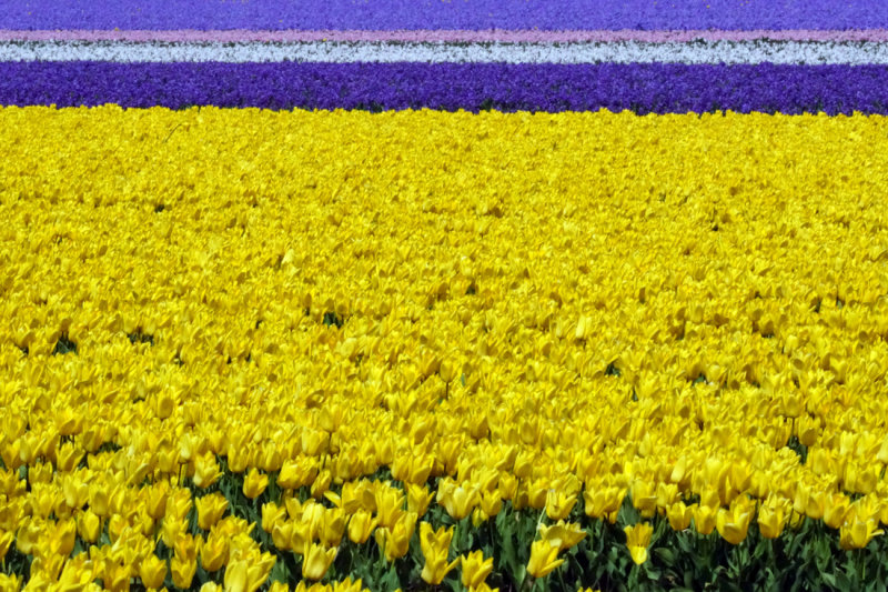2014-04-11 16:21