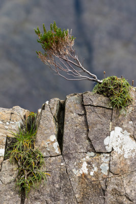 Near the Fairy Pools