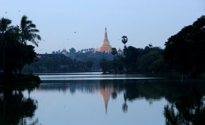 Shwe Dagon seen from Kandawgyi Lake