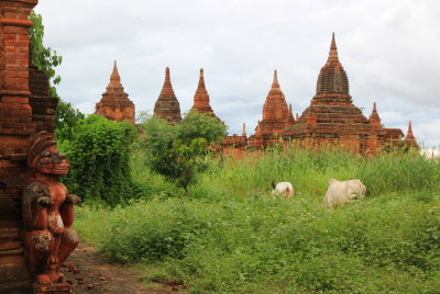 Bagan