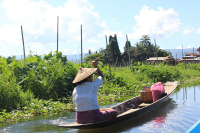 The floating gardens of Inle Lake