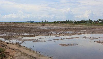 Salt flats outside Kampot