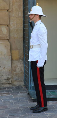 Guard outside the Grandmasters Palace