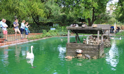 San Anton Botanical Gardens