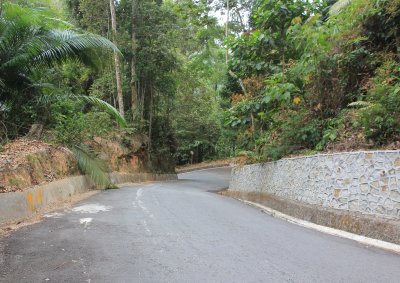 The road from the top of Penang Hill down to the Botanical Gardens. 800m drop in 5 km. Had to zigzag most of the time. 