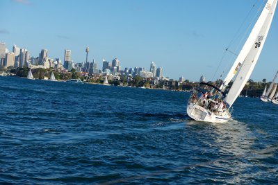Yacht Race on Sydney Harbour