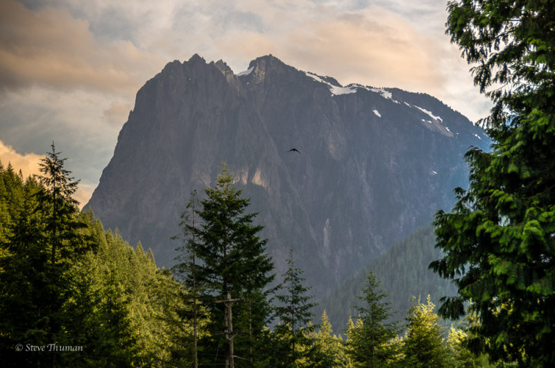 _DSC7933.jpg