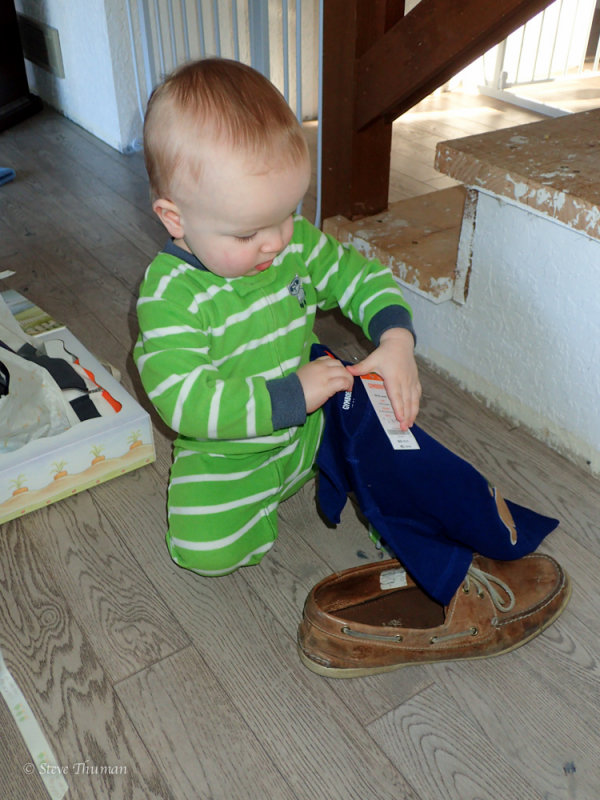 P2280185.jpg