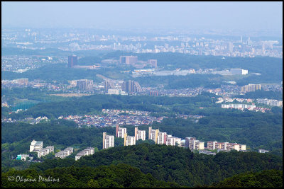 Mt-Takao-3.jpg