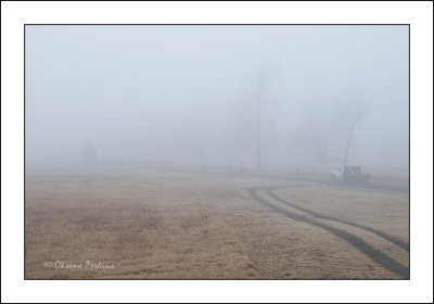Foggy morning 1