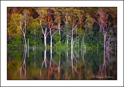Lake-reflections-1.jpg