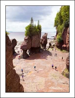 Hopewell-rocks-2.jpg