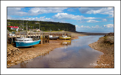 Hopewell-rocks-3.jpg