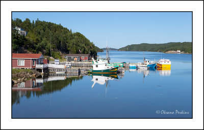 Newf-Twillingate-3.jpg