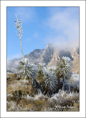 TX-Guadalupe-Mnts-snow-1.jpg