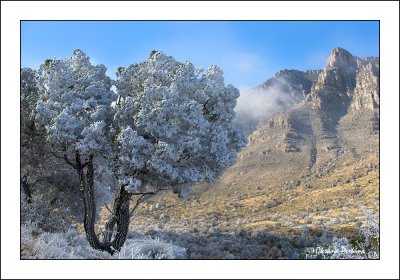 TX-Guadalupe-Mnts-snow-6.jpg