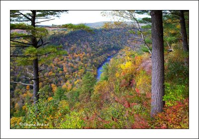 Pennsylvania