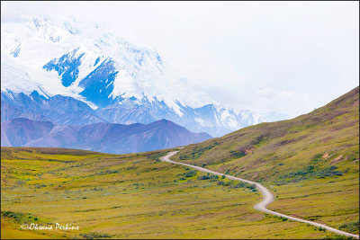 Denali-8.jpg