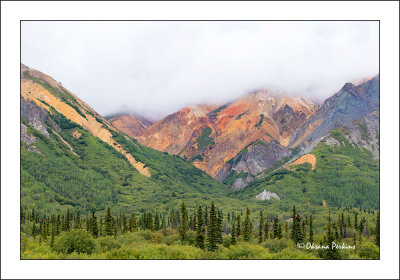 Kenai-3.jpg