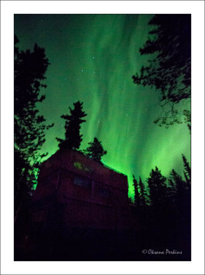 YT-Aurora-Boreales-2.jpg