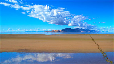 Island-3.jpg