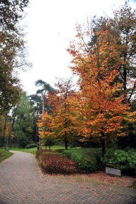 Overloon museum herfst