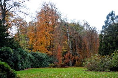 herfst