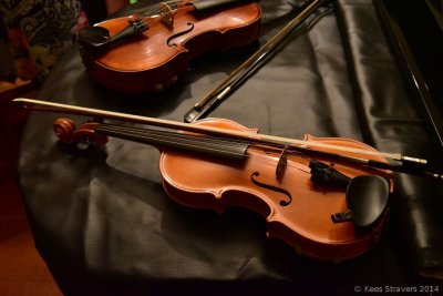 Gregor Borlands violin