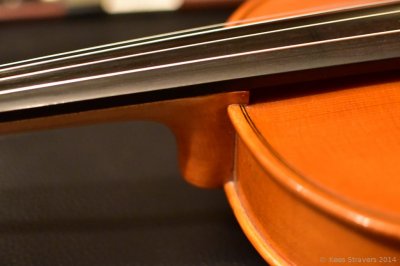 D75_2879_r.JPG