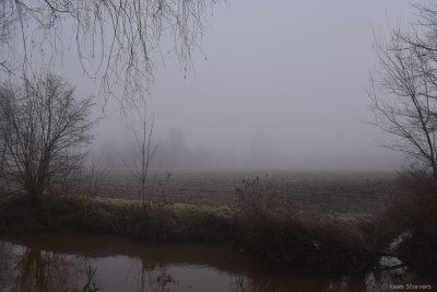 Dommel in de mist