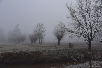 D75_1314_r.JPG