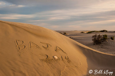 Sand Dunes, Isla Magdalena   4 