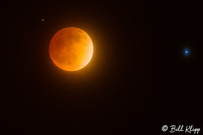 Lunar Eclipse Blood Moon  1